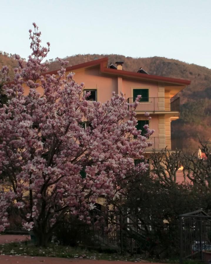 Hotel La Vigna Moneglia Buitenkant foto